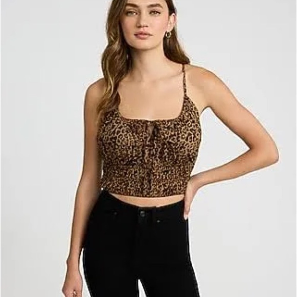 Express Leopard Print Crop Top